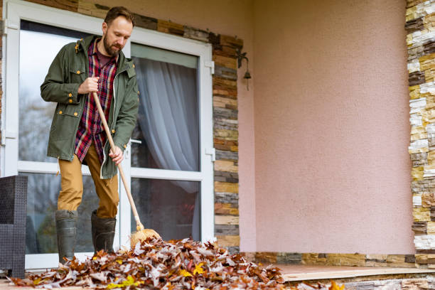 Best Electronics Removal Services  in Lowell, IN